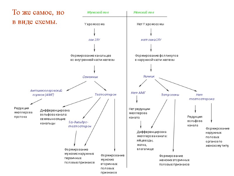 То же самое, но в виде схемы. То же самое, но в виде схемы.